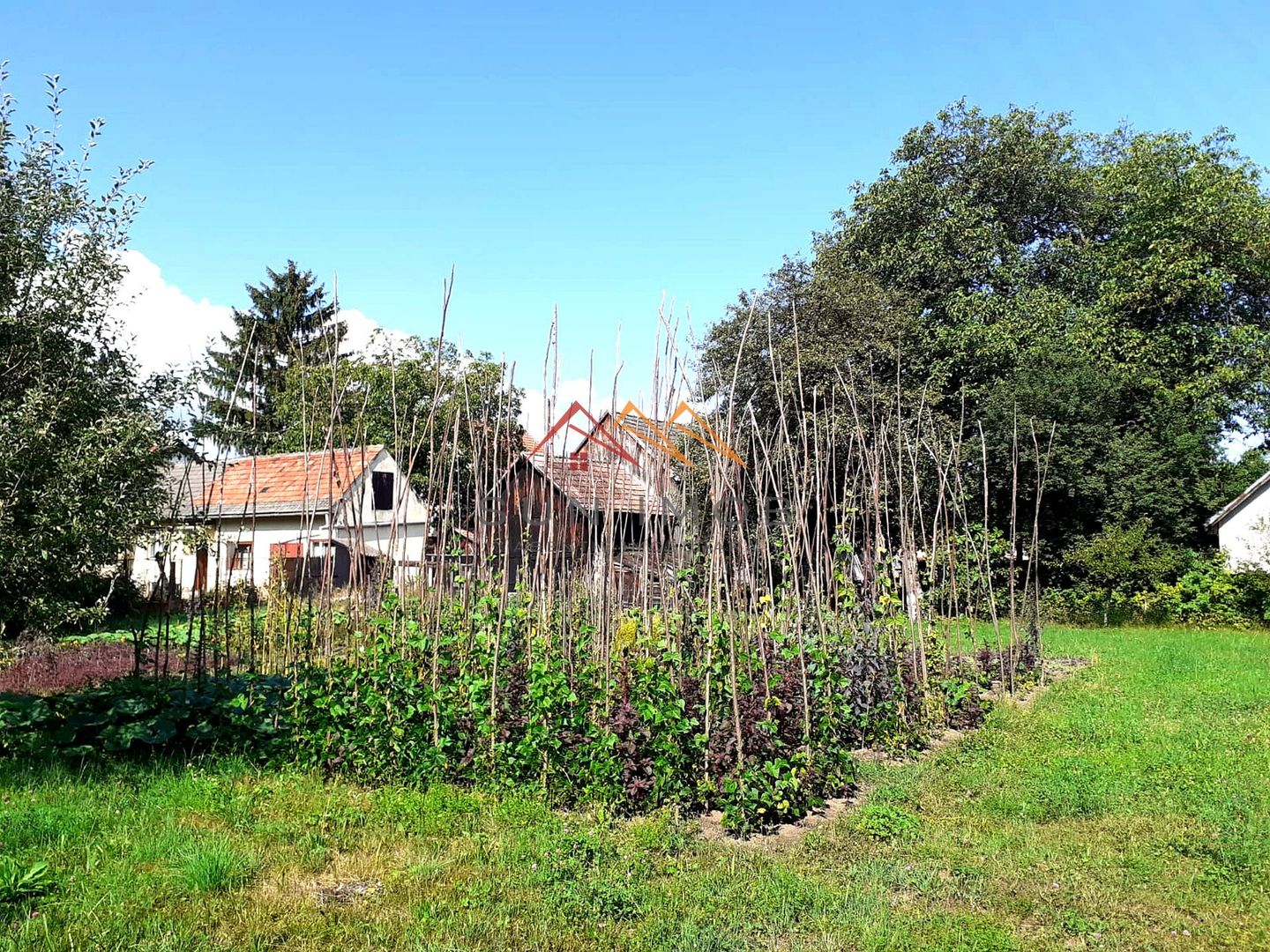 Casa 3 camere, teren 3625 mp, toate utilitatile, Sacele, Brasov - Poză 6
