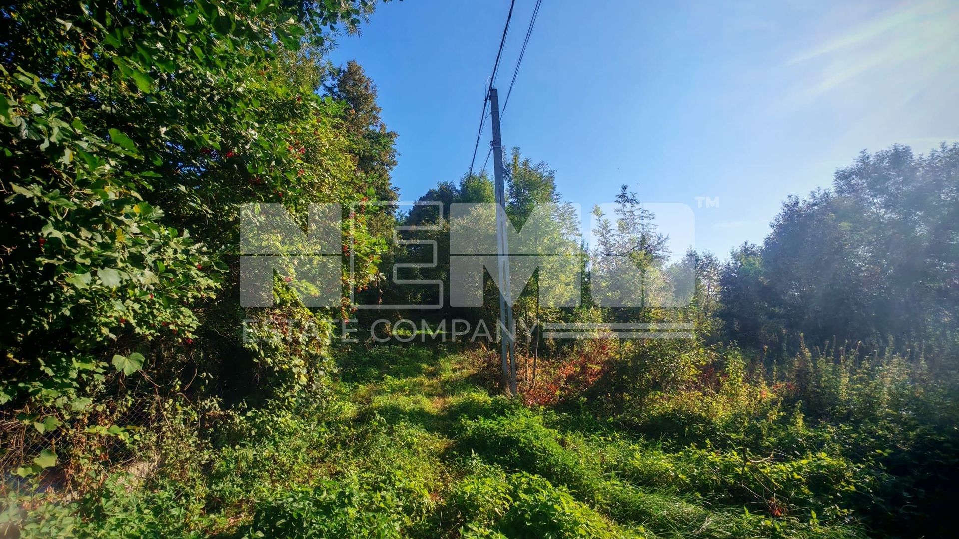 TEREN INTRAVILAN | FRATĂUȚII NOI | 1.1 HA - Poză 14