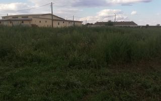 Ferma de vânzare - Poză 14