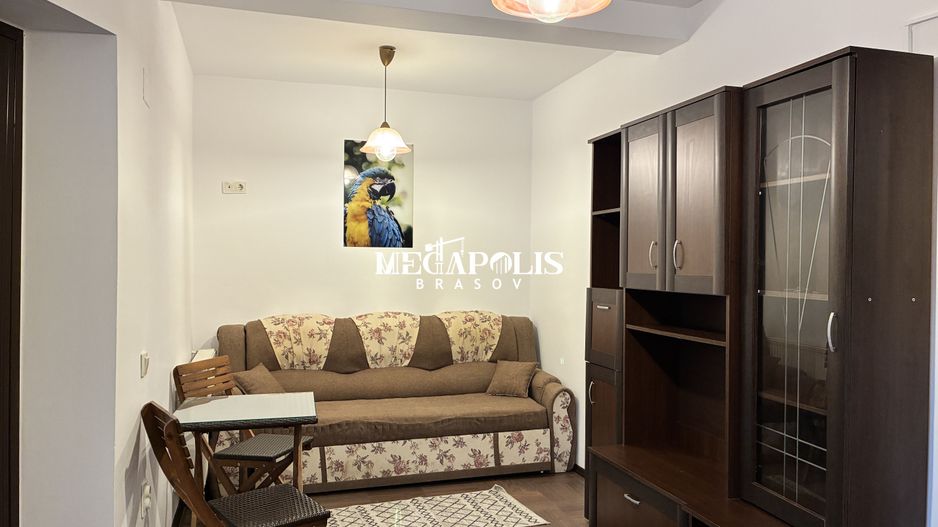 Studio / Tractorul / Pet- Friendly / Curte - Poză 6