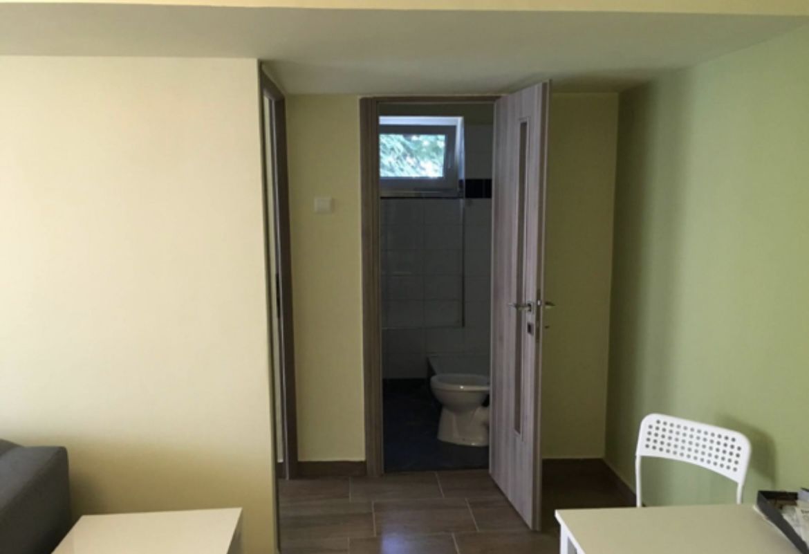 APARTAMENT FLOREASACA | COMPOZITORI CEAIKOVSKI - Poză 10