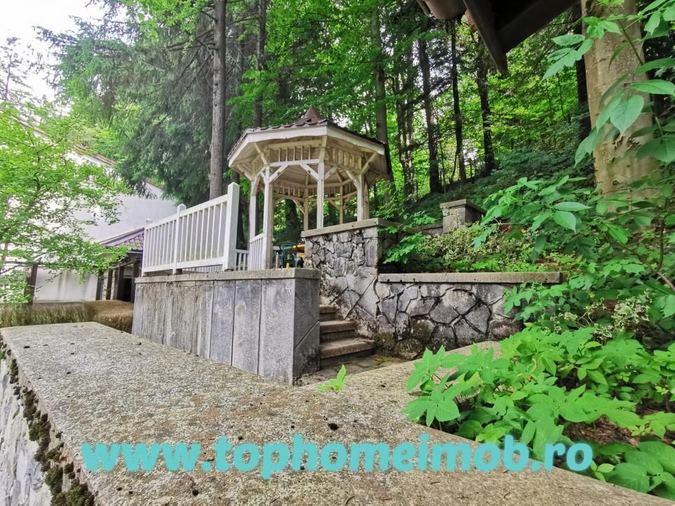 Vila deosebita Sinaia- Cumpatul - Poză 8