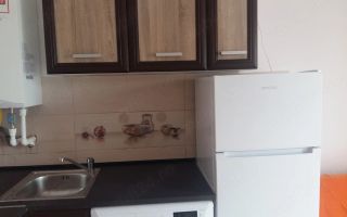 Apartament 2 camere de inchiriat in Iasi, zona Gara - Alexandru - Poză 3