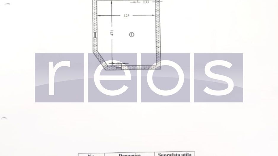 VANZARE CASA 10 CAMERE | S+ P+1+M | ZONA MOSILOR - Poză 30