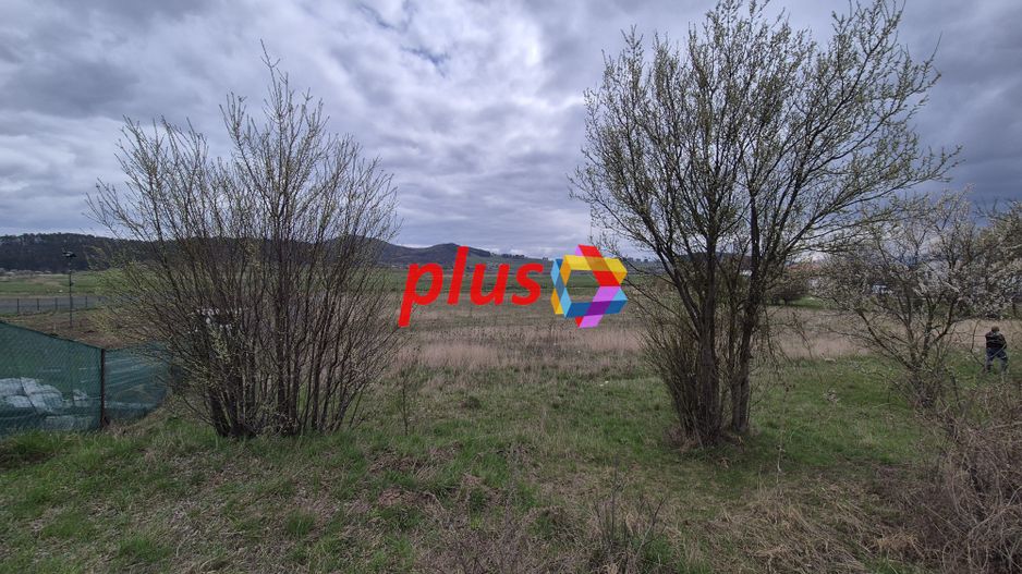 Teren cu PUZ pentru showroom/ hala - 4800 mp # plus-imo.ro - Poză 3