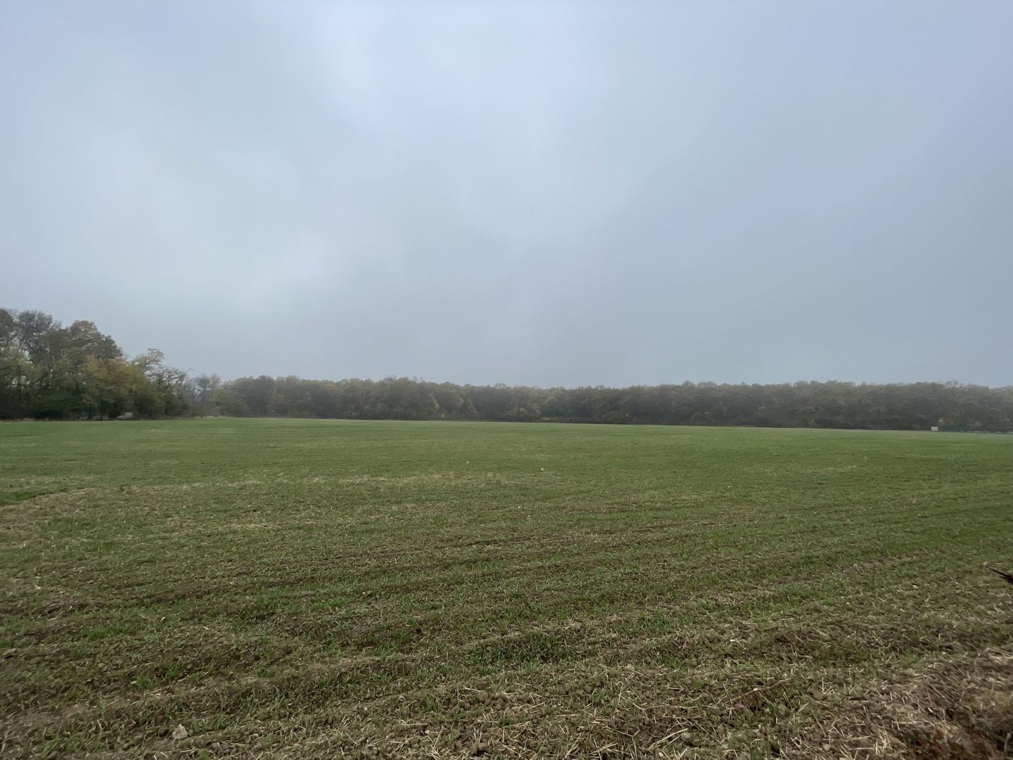 9400 mp | Ideal pentru investitie | Tunari | Deschidere la padure - Poză 5