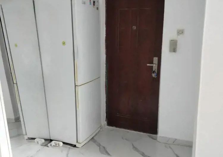 De vanzare apartament de 2 camere renovat total in Titan, aproape de Auchan - Poză 2