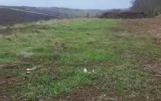 Teren Intravilan | 3.700 mp | Sura MAre - Poză 1