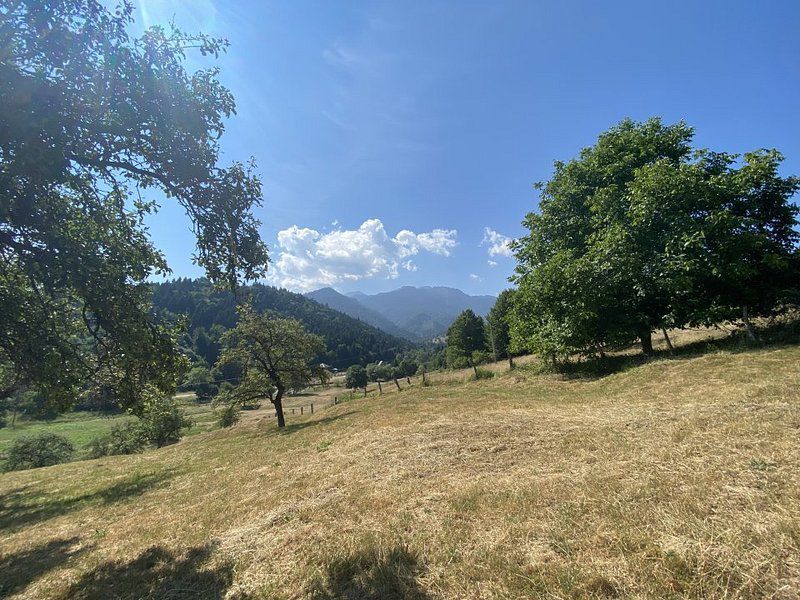 Teren extravilan de vânzare în Râșnov | 6.070 mp | Vedere panoramică - Poză 6