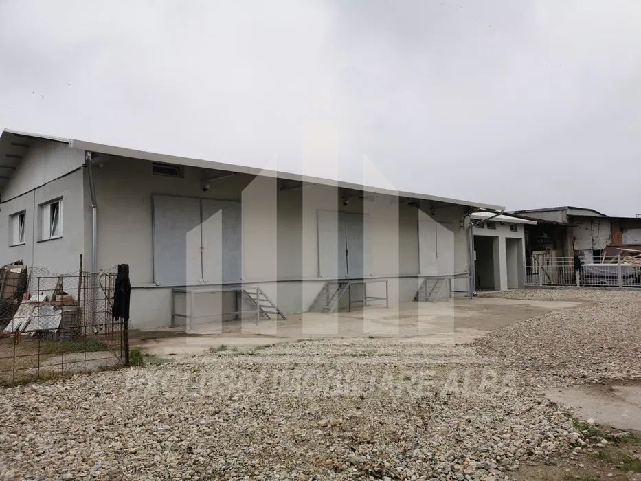 Hala industriala de vanzare - Poză 1