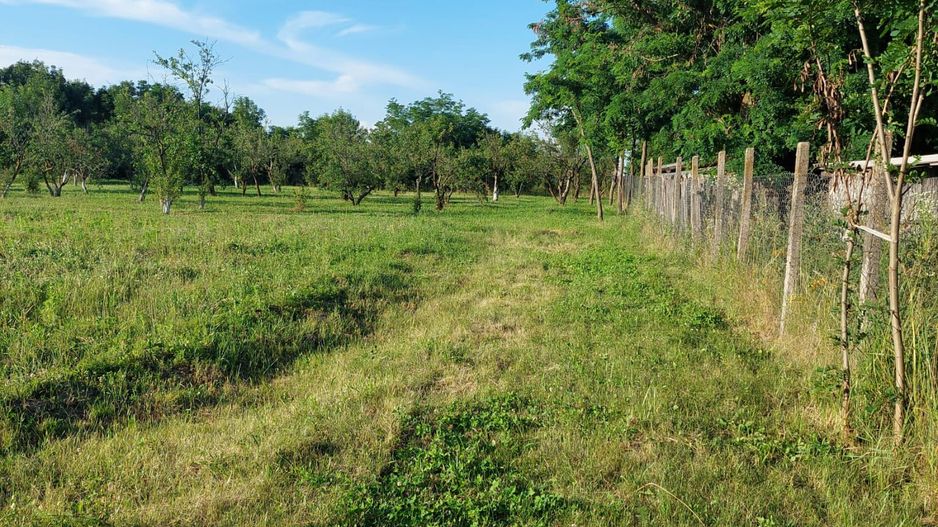 Vanzare casa deosebita, Suseni, Arges - Poză 8