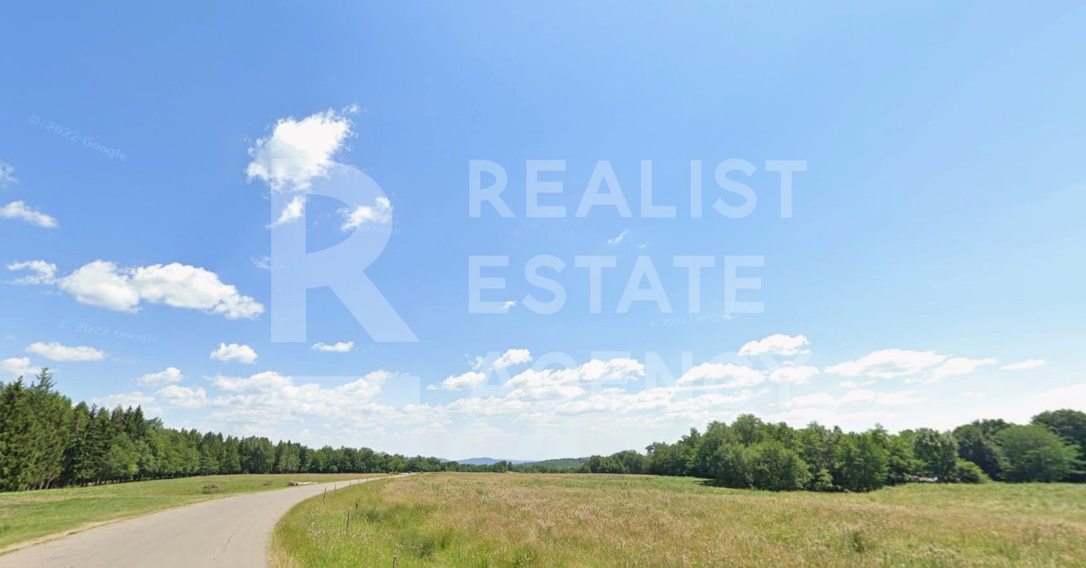 Teren intravilan 4,2 ha de vânzare| ideal investiție| POT 40%| Teișani - Poză 3