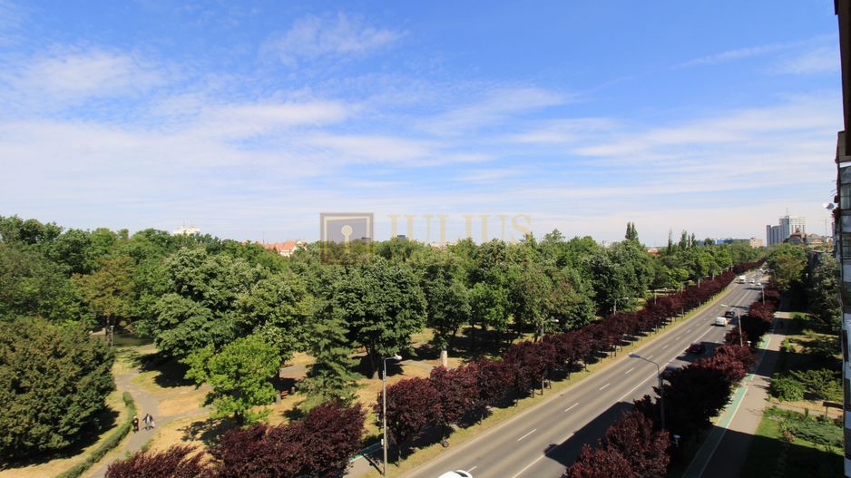 Corneliu Copusu, 3 camere + 2 bai, centrala proprie - Poză 2