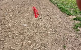 Casa Individuala I 250 MPU I Teren 1800 MPU I Bungard - Poză 3