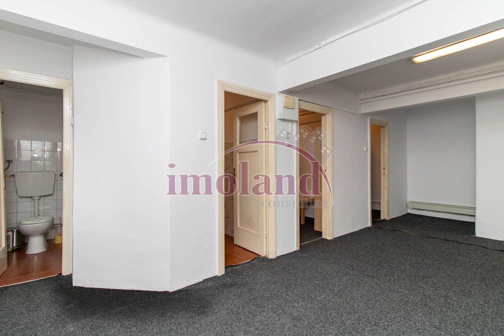 Inchiriere - Rezidenta/Birouri - Vila cu curte - Aviatorilor - Poză 33