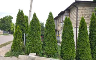 Apartament cu 2 camere în centru or. Cimișlia - Poză 1