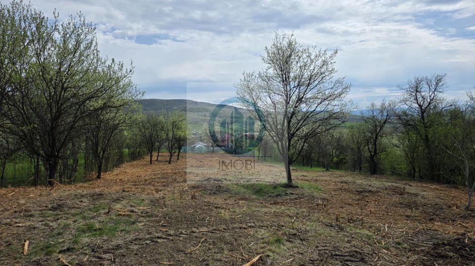 De vânzare teren intravilan – Bârsau, jud. Hunedoara - Poză 2