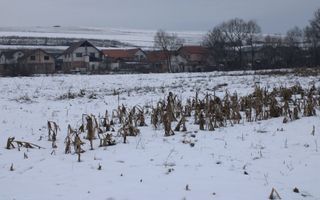 Ferma de Vânzare – Oportunitate Unică! - Poză 28