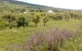 Teren intravilan si livada Draghici - Poză 5