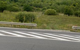 Exclusivitate. Teren Intravilan 1000 mp, deschidere la DN17 - Poză 2