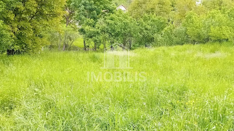 Teren intravilan | Budiu Mic | 994 mp - Poză 7