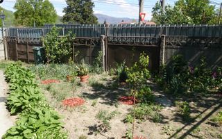 Casa 3 camere Baia Mare - Poză 3