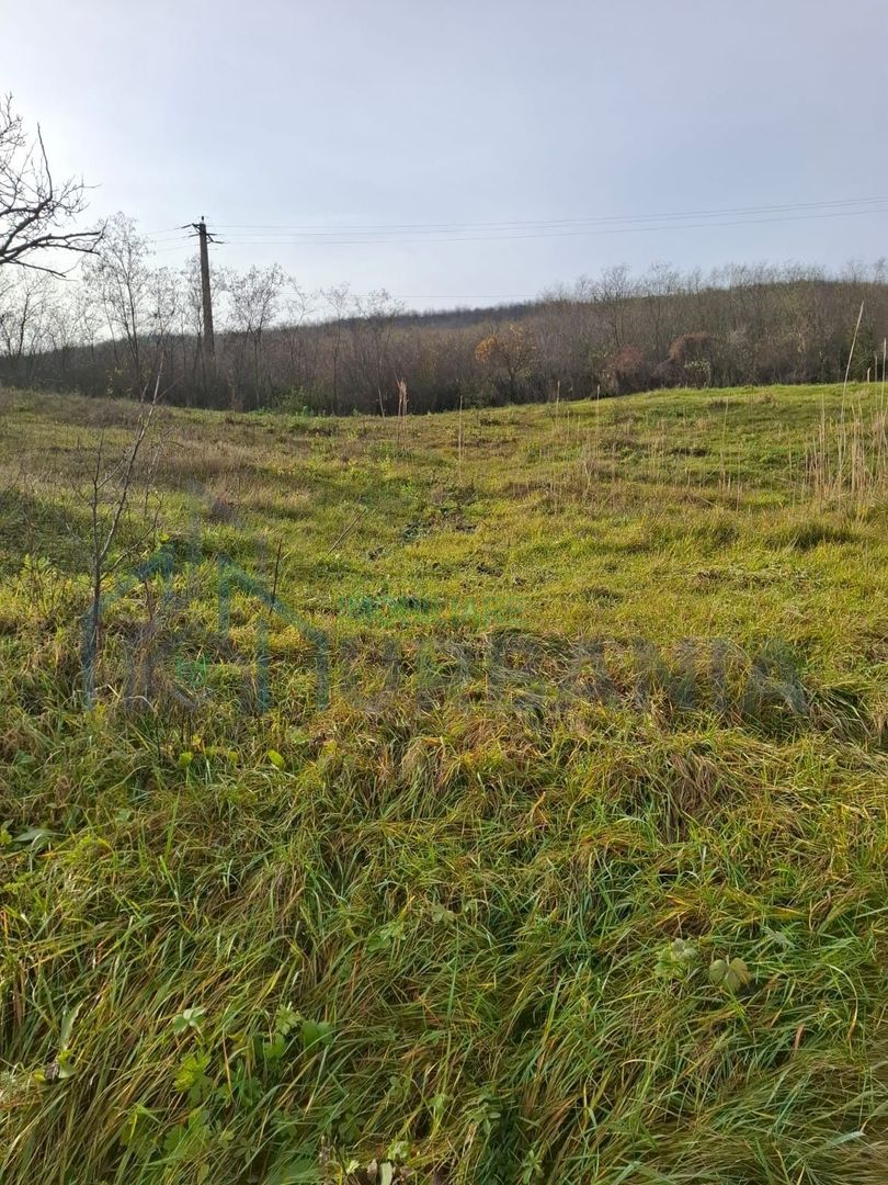 VAND Teren Golaiesti - Poză 3