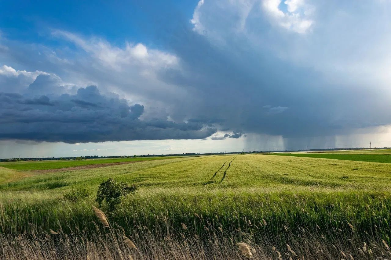 Investiție Agricolă Operațională, Fermă Completă de 730 ha în Nord-Est - Poză 1
