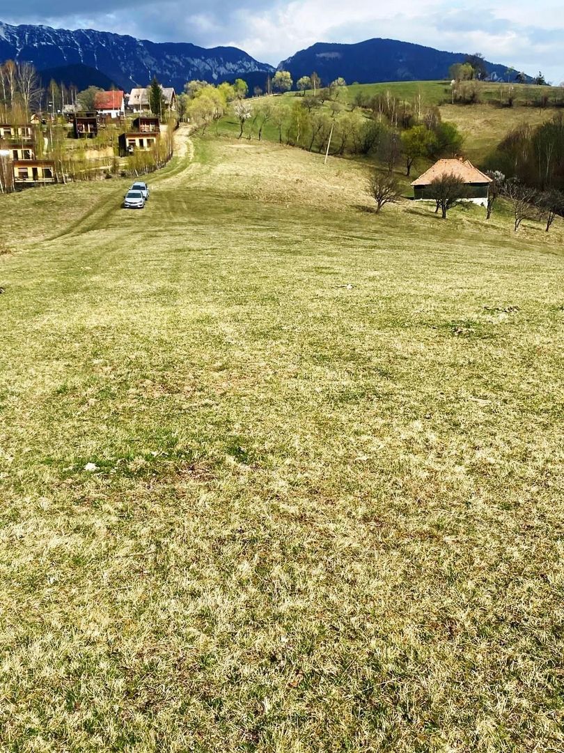 Teren pe platoul satului Pestera - Poză 1