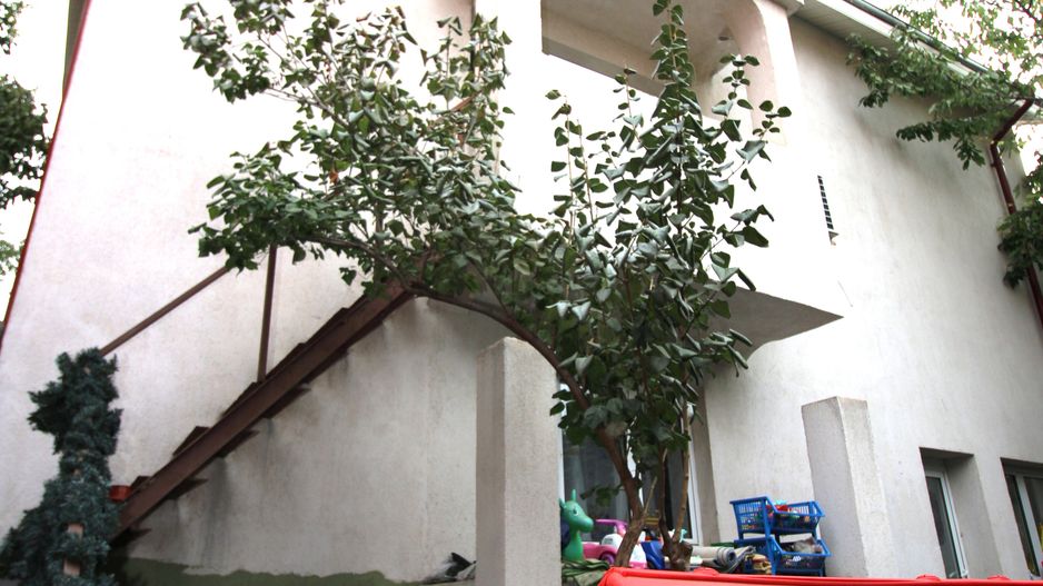 Casa de vanzare P+1+M Drumul Taberei Bucuresti - Poză 11