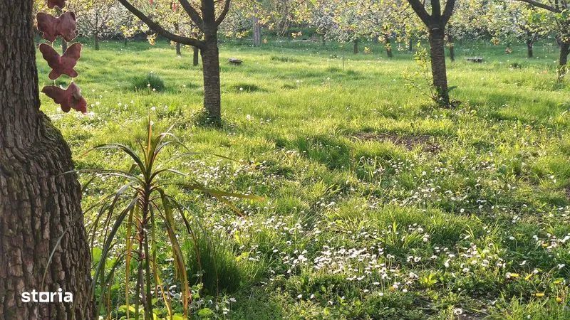 Casa de vanzare |Nuci, Balta Neagra, la 25 de minute de București - Poză 3