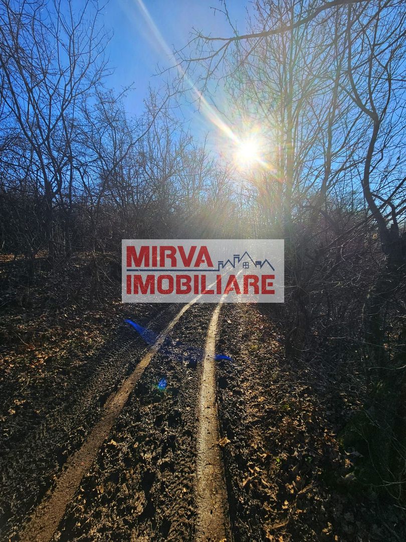 Teren intravilan 2.000 mp – Seciu, 2 deschideri, Priveliște panoramica - Poză 15