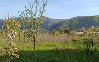 Teren Intravilan - Orlat jud. Sibiu - Poză 3