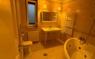 Vila Pipera - Poză 21