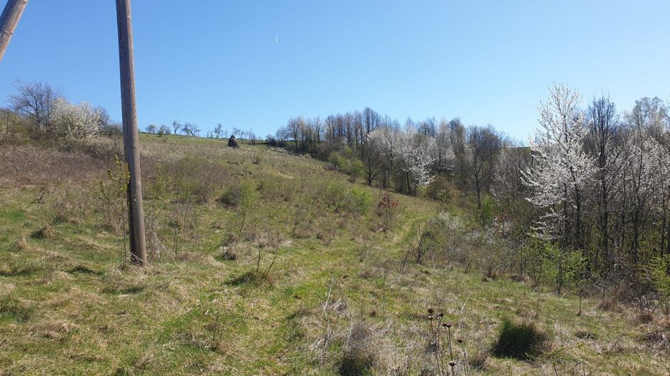 Teren cu panoramă fabuloasă, 10.059 mp, Roșia. 19.000 EUR. Comision 0 - Poză 5