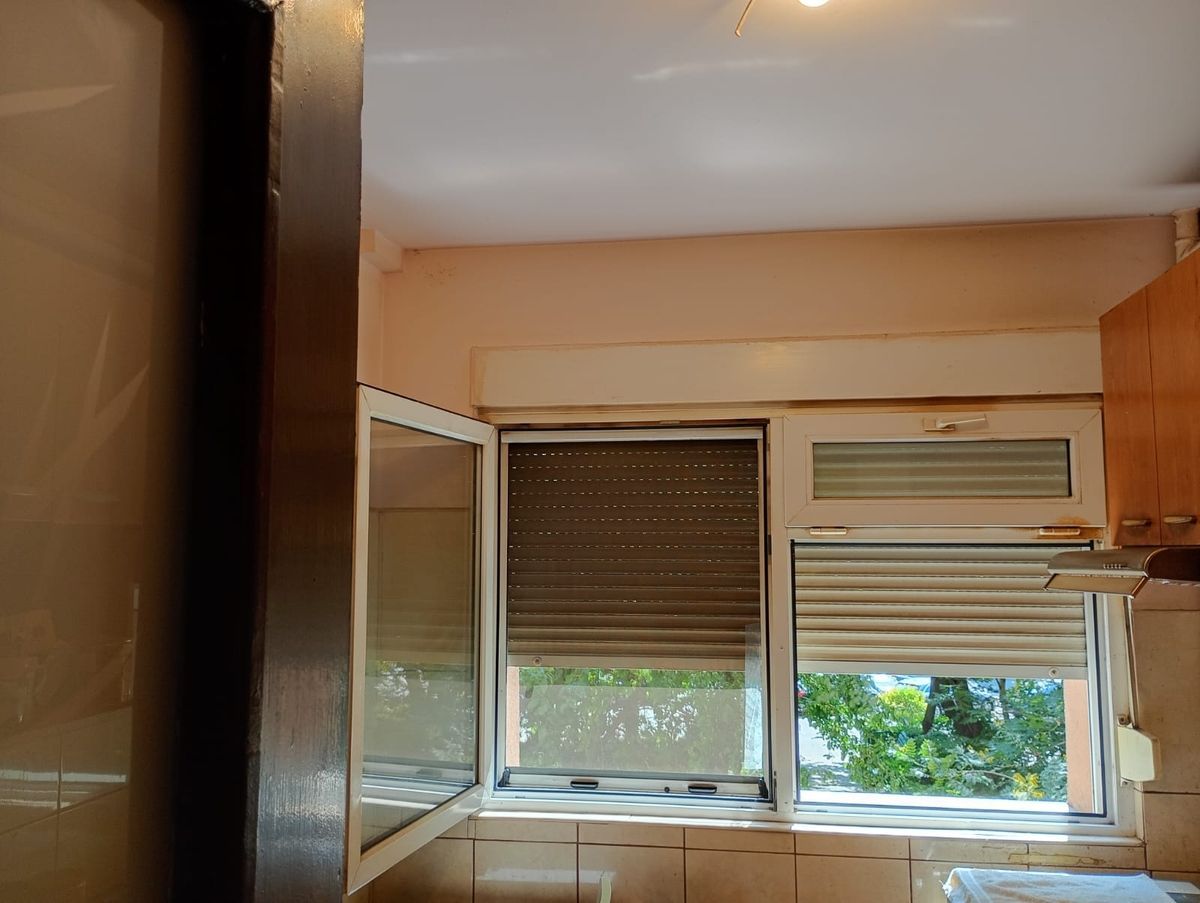 Alexandru Obregia - Poză 9