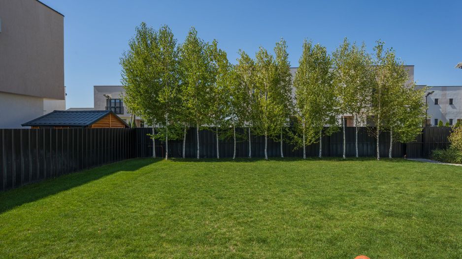 Casa cu Mesteceni!  Complex Lalelelor Domnești - Poză 24