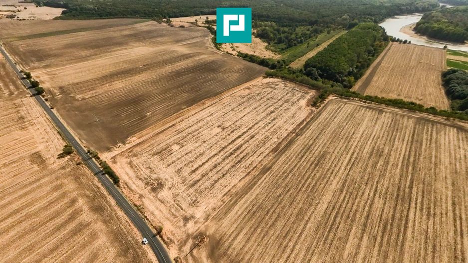 Teren 46.000 mp la drumul Pecica-Semlac - Poză 2