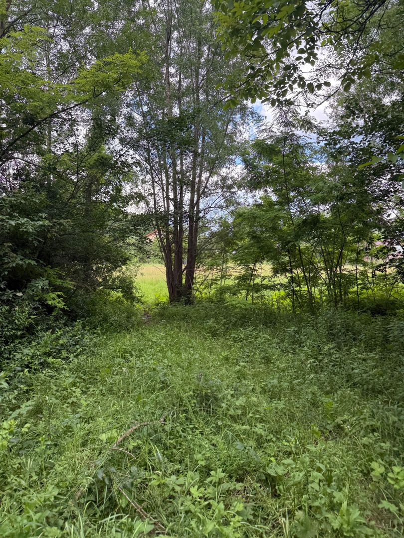 Teren intravilan 683 mp deschidere la strada asfaltata ! - Poză 20