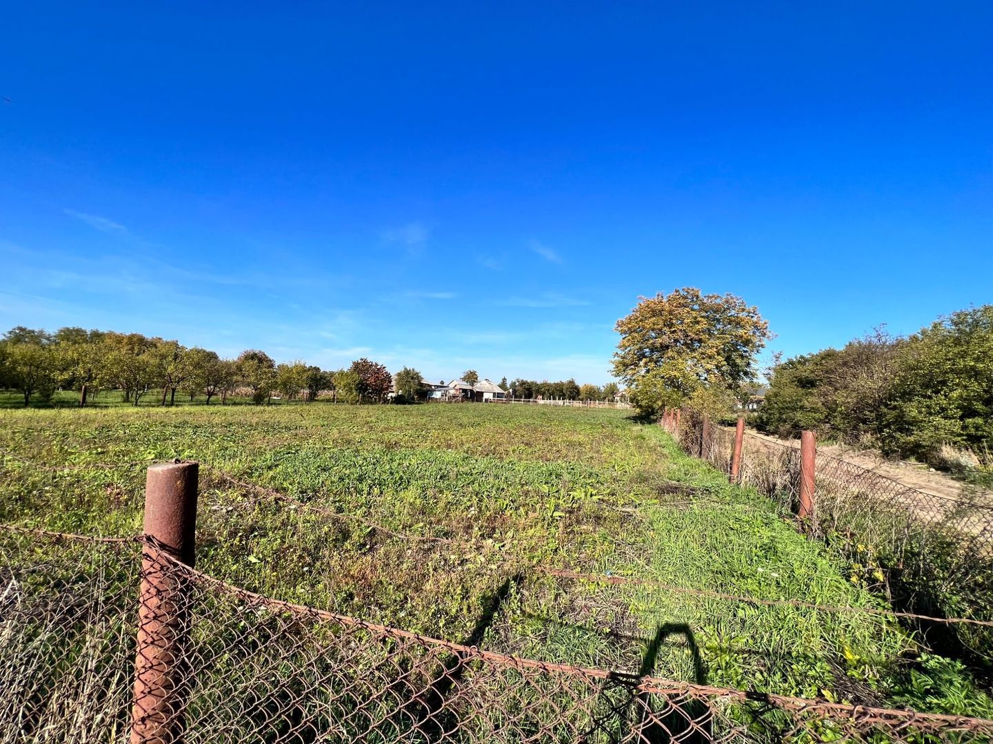 Vând proprietate deosebită, 8 km de Satu Mare – Apateu - Poză 6