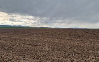 Teren 10,000mp Bacau / Strada Alexandru Safran - Poză 14