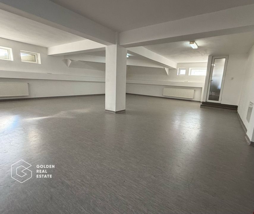 Spatiu comercial pentru activitati medicale, Calea Radnei - Poză 3