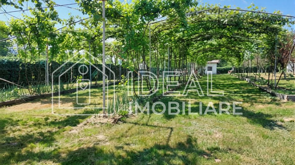 Teren intravilan 2.158 mp - Tropinii Noi, Sibiu | 2 parcele | Zonă Dumbrava - Poză 3