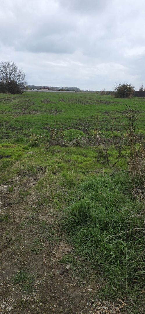 1 DECEMBRIE - TEREN 2500 MP - Poză 1