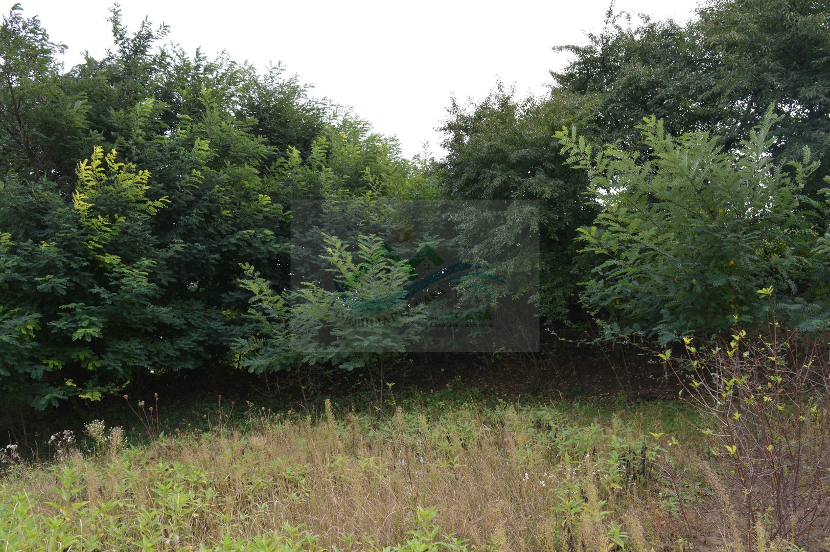 Casă de vânzare în Sfântu Ilie și teren 2000 mp - Poză 44