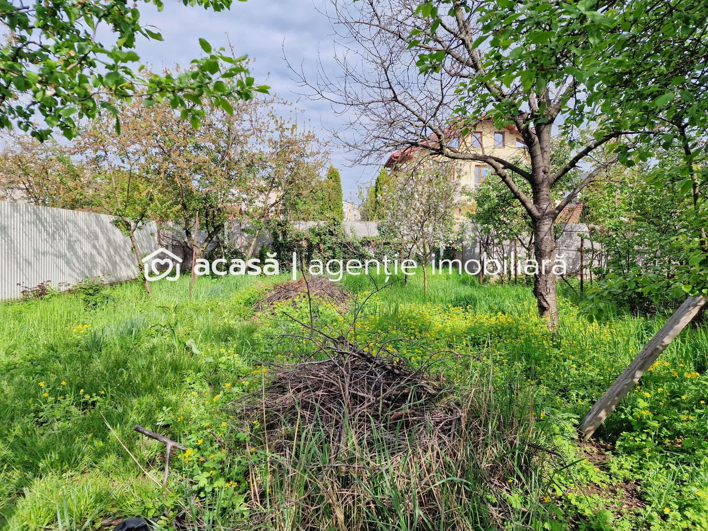 Teren spațios cu casă veche in Vlaicu - Poză 7