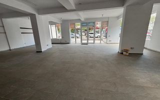 De inchiriat spatiu comercial stradal, 113 mp – Soseaua Giurgiului - Poză 13