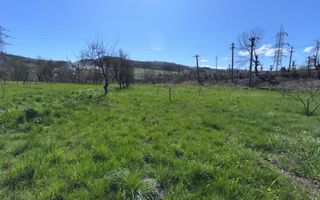 CASA 5 CAMERE TEREN 7500 MP CAMPULUNG - Poză 22