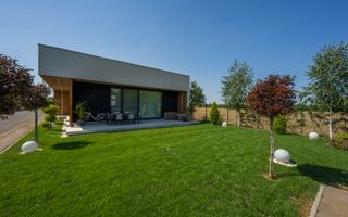 Vila Superba - Snagov Lac - Comunitate - Piscina - Ponton - Poză 46