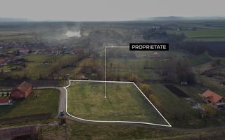 Teren intravilan | 5.260 MP | Reci - Poză 6